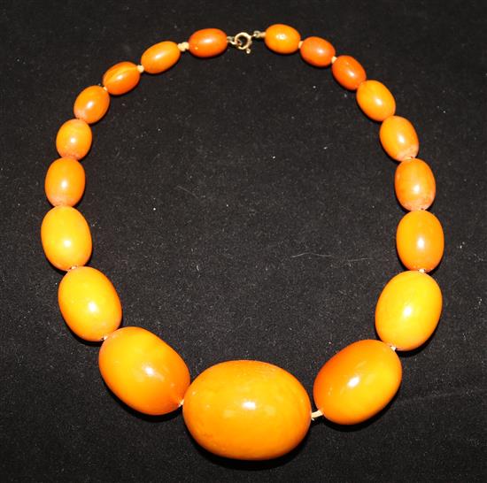 A single strand graduated oval amber bead necklace with 9ct gold clasp, 16in.